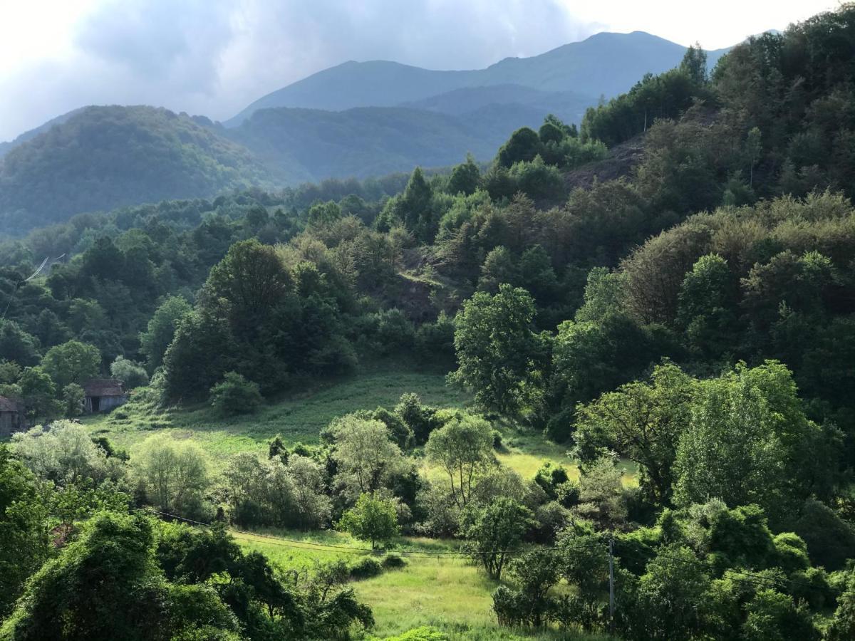Apartament Aphrodite Hills Apartments-stara Planina *
