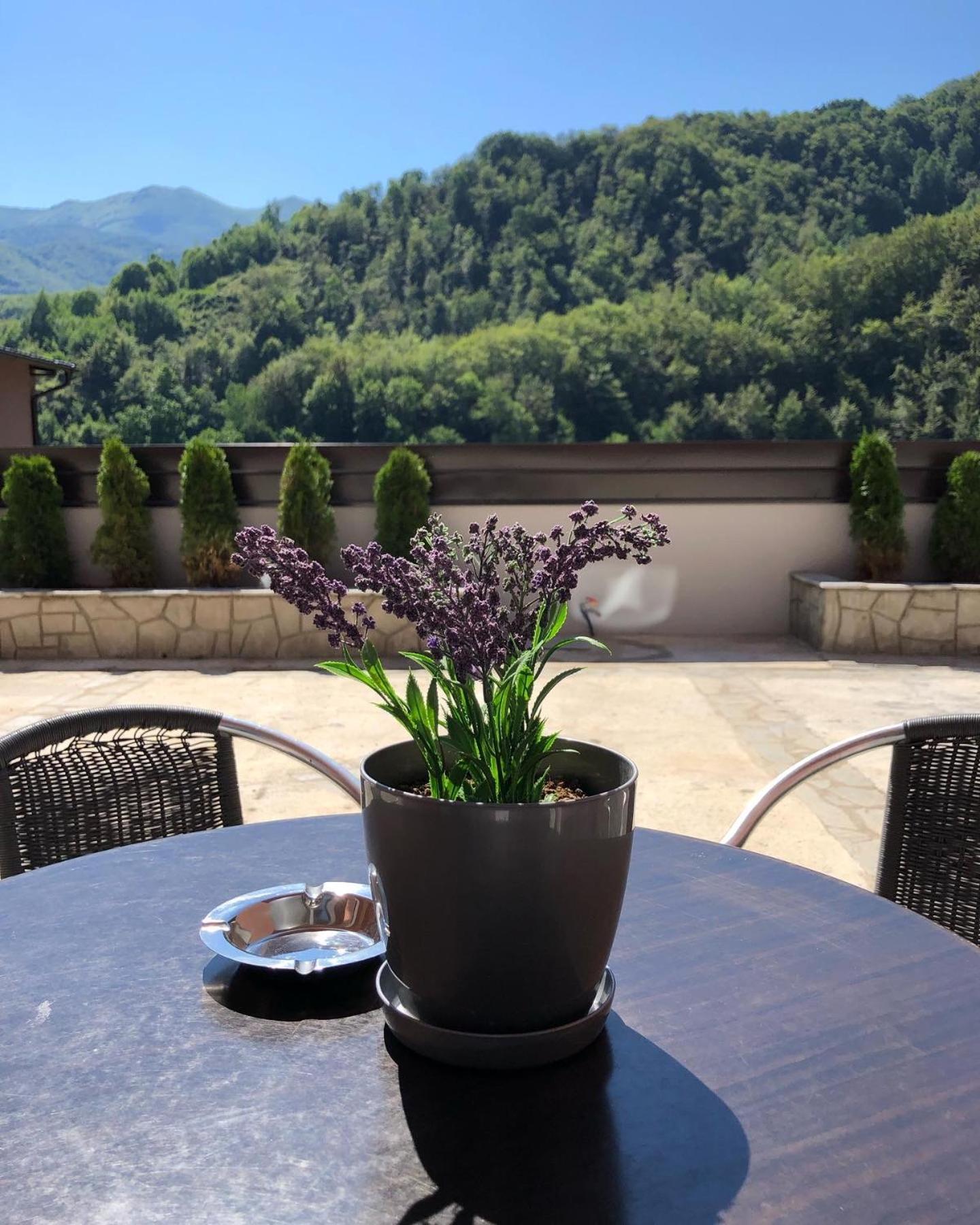 Apartment Aphrodite Hills Apartments-stara Planina *